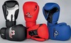 Fitman Boxing Mitts Safety CE Boxhandschuhe Handschuhe Boxsport