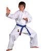 Karategi Basic Collection weiß Anzuege Karategi Karate Karateanzug Kampfsport Kampfsportanzug Kampfanzug Kampfanzüge Uniform Kleidung Bekleidung Kimono