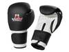Handschuh Master Punch Safety CE Boxhandschuhe Boxsport