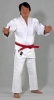 Judogi Nippon No. 1 weiß Anzuege Judo Judogi Judoanzug Kampfsport Kampfsportanzug Kampfanzug Kampfanzüge Uniform Kleidung Bekleidung Kimono