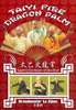 Taiyi Fire Dragon Palm Grandmaster Lu Zijian DVD DVDs Video Videos kungfu Kung-Fu Kung+Fu Kungfu taichi chuan taiji quan wing chun ving tsun wing tsun chi gung chi kung