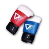 VANDAL Handschuhe Target 10 oz Safety CE Boxhandschuhe Boxsport