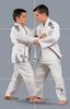 Adidas Kimono Flash 100 Anzuege Judo Judogi Judoanzug Kampfsport Kampfsportanzug Kampfanzug Kampfanzüge Uniform Kleidung Bekleidung Kimono