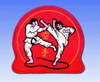 Stickabzeichen  Karate Accessoires Sticker Aufnäher Stickabzeichen Guertel Stickabzeichen Karate