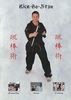Bo Jitsu Lehr-DVD DVD DVDs Video Videos kendo iaido divers chanbarra waffen kobudo nunchaku bo naginata speer messer schwert shuriken