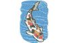 Stickmotiv Japanischer Koi - EMB-FM507 Bestickung Bestickungsservice Textilbestickung Stickservice Individuelle motivbestickung Stickdesign Stickmotiv Tier Tiere Fisch Fische