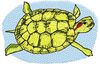 Stickmotiv Teichschildkröte / Pond Turtle - EMB-FL588 Bestickung Bestickungsservice Textilbestickung Stickservice Individuelle motivbestickung Stickdesign Stickmotiv Divers Tiere Wildtiere Kröten Echsen