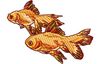 Stickmotiv Fische / Japanische Orandas EMB-FL582 Bestickung Bestickungsservice Textilbestickung Stickservice Individuelle motivbestickung Stickdesign Stickmotiv Tier Tiere Fisch Fische