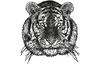 Stickmotiv Tiger EMB-Tiger Bestickung Bestickungsservice Textilbestickung Stickservice Individuelle motivbestickung Stickdesign Stickmotiv Divers Tiger Löwe Panther Raubkatze Tiere Wildtiere Leopard