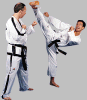 Hayashi Taekwon-Do Anzug ITF Instructor Anzuege Taekwondo taekwondoanzug dobok TKD Taekwondodobok Taekwondoanzüge Kampfsport Kampfsportanzug Kampfanzug Kampfanzüge Uniform Kleidung Bekleidung