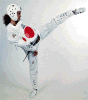 Schienbeinschützer Hayashi-IDM WTF Safety CE Schienbeinschutz Taekwondo TKD
