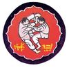 Stickabzeichen Tomoe-Nage Accessoires Judo Sticker