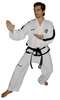 Top Ten Taekwondo Anzug PQ Mesh Master