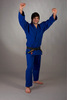 Ju-Sports Judoanzug Akita blau