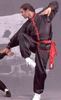 KWON Kung Fu - Wu Shu Anzug schwarz-rot
