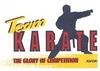 Druckmotiv Team Karate Accessoires Bedruckungen Individuelle Druckservice T-Shirt bunt farbig Karate Transfer