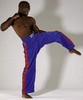 Profi-Design-Satinhosen Anzuege Kickboxing Kickboxen Freestyle Hosen Einzelhose Einzelhosen Kleidung Bekleidung Kampfsport
