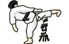 Budoten Stickmotiv Martial Arts Kämpfer / Karate Figure - EMB-9077