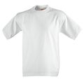 Basic Wear Liberty T-Shirt, aschgrau