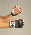 Ju-Sports Handschutz Freefight Open Hand