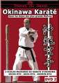 Abanico Okinawa karate 2