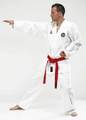 FujiMae Taekwondoanzug ITF Master