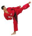 FujiMae Taekwondoanzug rot