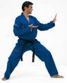 FujiMae Taekwondoanzug blau