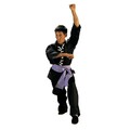 FujiMae Kung Fu Wushu Anzug