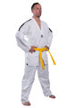 Budoten Taekwondo Anzug Standard Edition Design