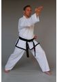 Budoten Meister Taekwondo-Anzug Kyongi