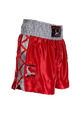 BUDOs Finest Thaibox Shorts in rot-silber