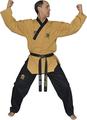 WACOKU Taekwondo Anzug WTF POOMSAE GRANDMASTER