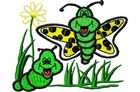 Budoten Stickmotiv Schmetterling mit Freund / Butterfly & Friend DAC-CH0504
