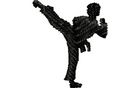 Budoten Stickmotiv Kämpfer / Martial Art Figure DAC-SP3157