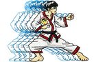 Budoten Stickmotiv Martial Arts / Jeet Kune Do - EMB-CJ830