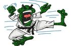 Budoten Stickmotiv Martial Arts Frosch / Karate Frog - EMB-CJ541