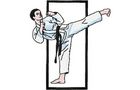 Budoten Stickmotiv Taekwondo - EMB-SP661