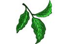 Budoten Stickmotiv Blätter / Leaves - EMB-56013