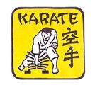 Budoland Stickabzeichen Karate Bruchtest