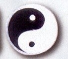 Budoland Stoffabzeichen Yin & Yang