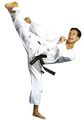 Top Ten Taekwondo-Anzug TOP TEN ITF Instructor