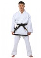 DAX Taekwondo-Dobok Master