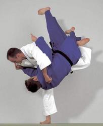 Judogi Nippon No.1 blau