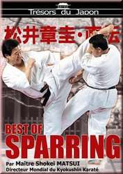 Kyokushin Karate Best of Sparring