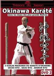 Okinawa karate 2