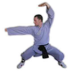 Leichter Shaolin Anzug grau-blau
