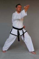 Meister Taekwondo-Anzug Kyongi