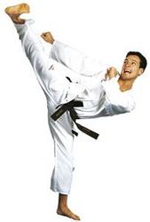 Taekwondo-Anzug  ITF Instructor
