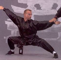 Kung Fu - Wu Shu Anzug schwarz